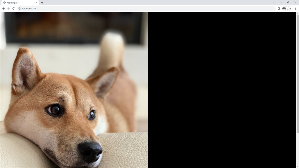 犬の画像が表示